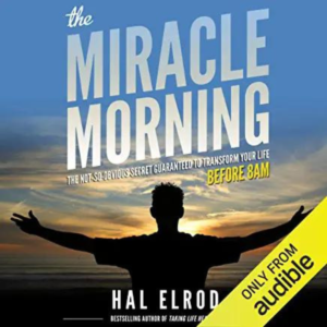 The Miracle Morning: The Not-So-Obvious Secret Guaranteed to Transform Your Life (Before 8AM) by Hal Elrod
